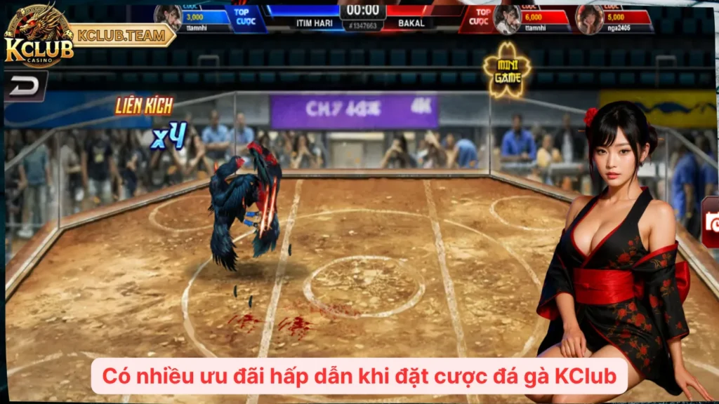 Đá Gà KClub – Sàn Đấu Ảo Triệu Xu, Giao Diện Cực Nét 4 Có nhiều ưu đãi hấp dẫn khi đặt cược đá gà KClub